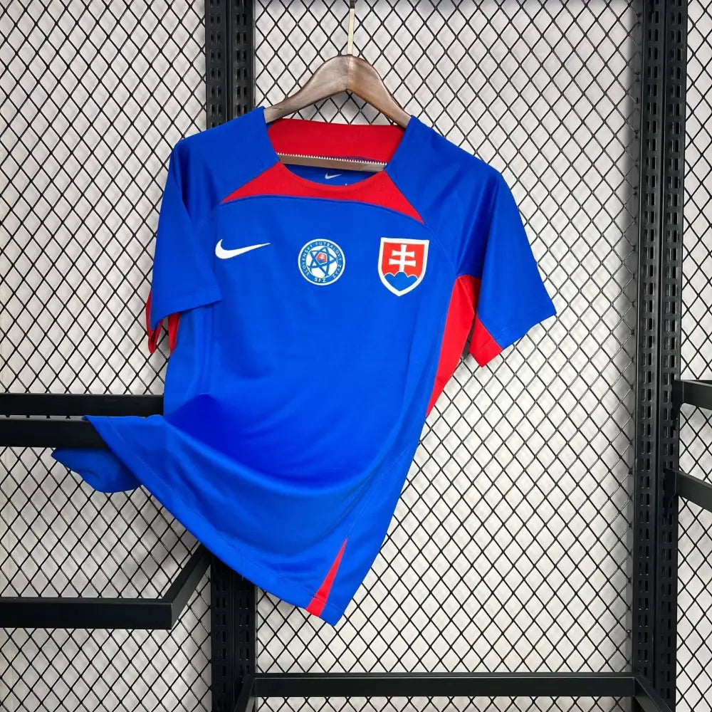 Georgia 24/25 "EURO 2024" Third Jersey - Back view showing player name and number area