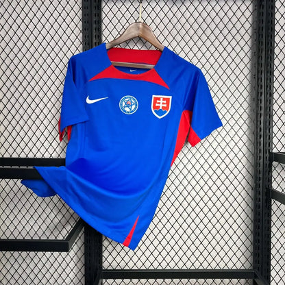 Georgia 24/25 "EURO 2024" Third Jersey - Back view showing player name and number area