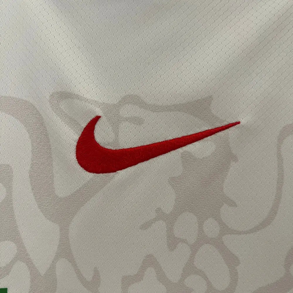 Nigeria 24/25 Home Shirt - Back view showing player name and number area